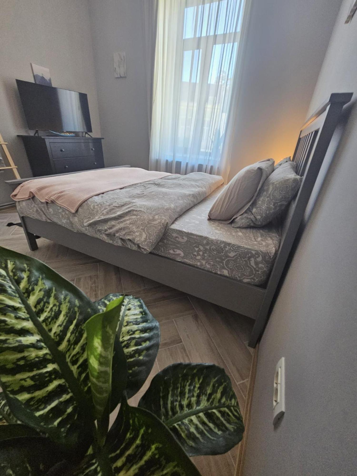 Zig Zag Apartment 4- Old Town Constanţa Eksteriør bilde